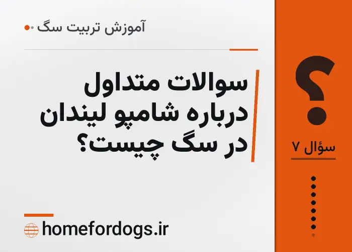 سوالات متداول درباره شامپو لیندان در سگ چیست؟