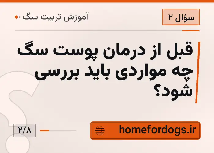 قبل از درمان پوست سگ چه مواردی باید بررسی شود؟