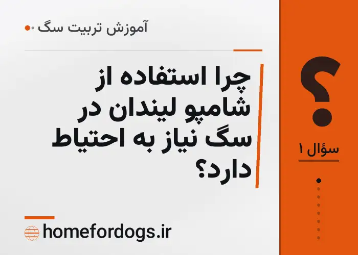 چرا استفاده از شامپو لیندان در سگ نیاز به احتیاط دارد؟
