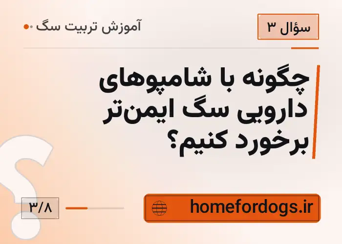 چگونه با شامپوهای دارویی سگ ایمن‌تر برخورد کنیم؟