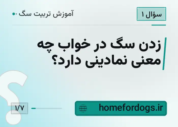 زدن سگ در خواب چه معنی نمادینی دارد؟
