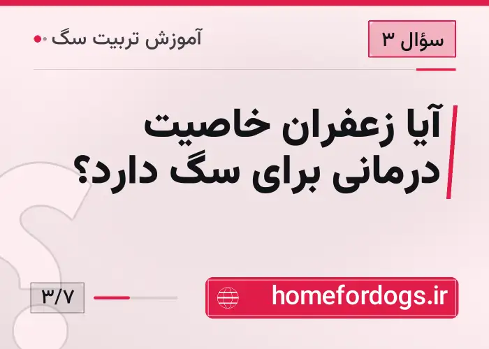 آیا زعفران خاصیت درمانی برای سگ دارد؟