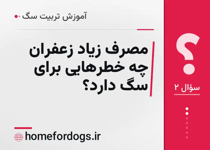 مصرف زیاد زعفران چه خطرهایی برای سگ دارد؟