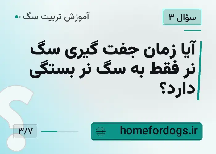 آیا زمان جفت گیری سگ نر فقط به سگ نر بستگی دارد؟