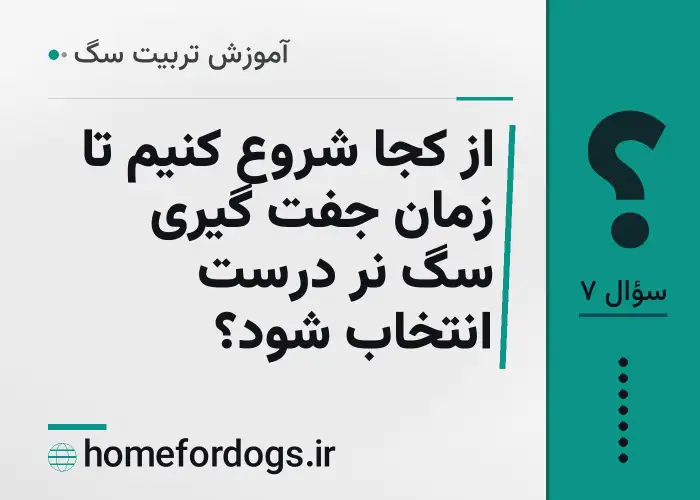 از کجا شروع کنیم تا زمان جفت گیری سگ نر درست انتخاب شود؟