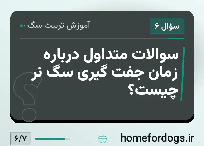 سوالات متداول درباره زمان جفت گیری سگ نر چیست؟
