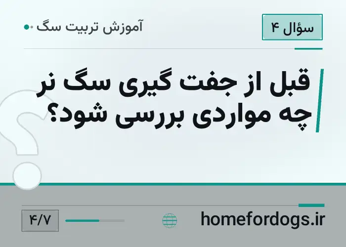 قبل از جفت گیری سگ نر چه مواردی بررسی شود؟
