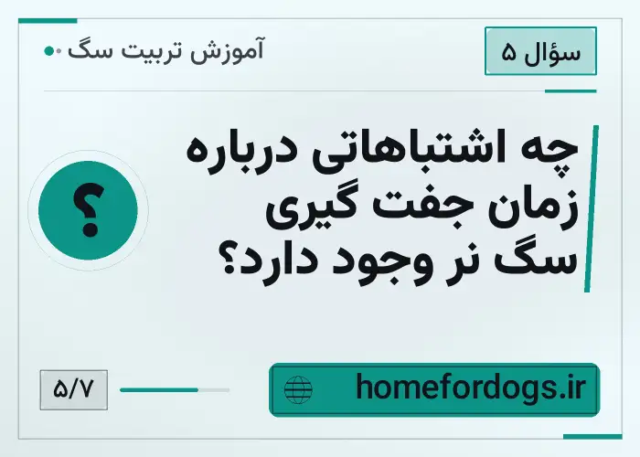 چه اشتباهاتی درباره زمان جفت گیری سگ نر وجود دارد؟