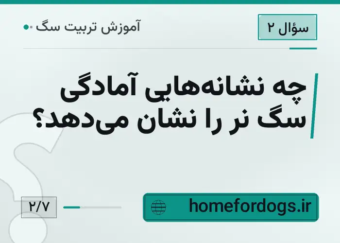 چه نشانه‌هایی آمادگی سگ نر را نشان می‌دهد؟