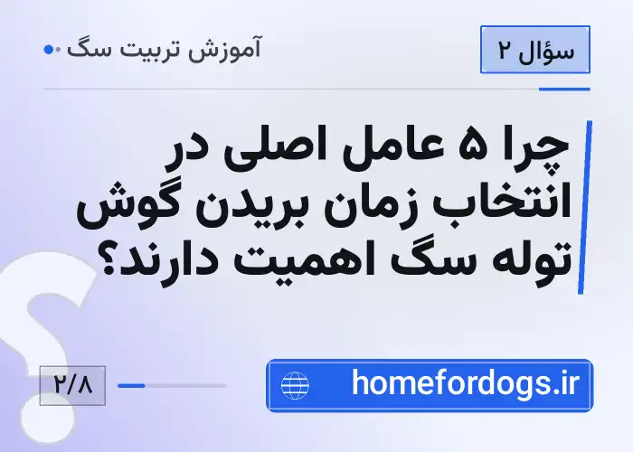 چرا ۵ عامل اصلی در انتخاب زمان بریدن گوش توله سگ اهمیت دارند؟
