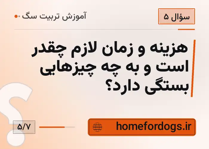 هزینه و زمان لازم چقدر است و به چه چیزهایی بستگی دارد؟