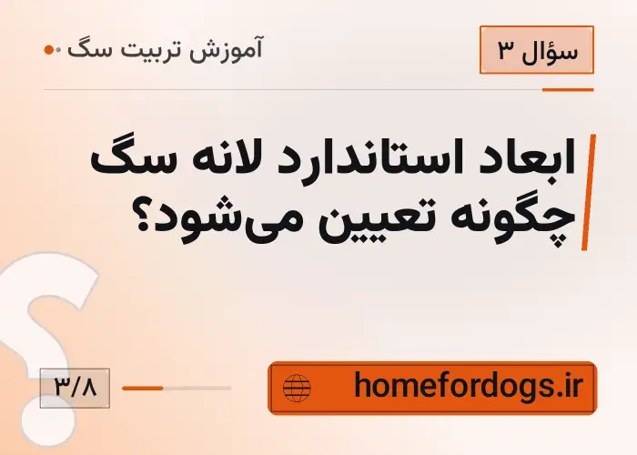 ابعاد استاندارد لانه سگ چگونه تعیین می‌شود؟