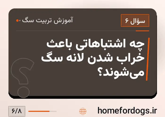 چه اشتباهاتی باعث خراب شدن لانه سگ می‌شوند؟