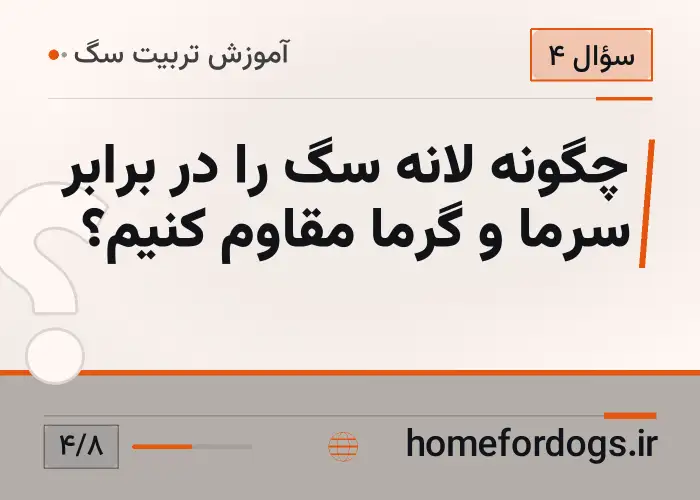 چگونه لانه سگ را در برابر سرما و گرما مقاوم کنیم؟