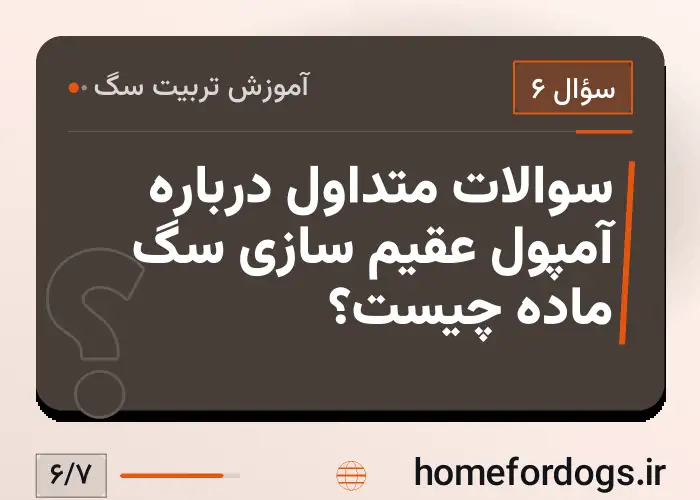 سوالات متداول درباره آمپول عقیم سازی سگ ماده چیست؟