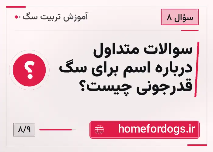سوالات متداول درباره اسم برای سگ قدرجونی چیست؟