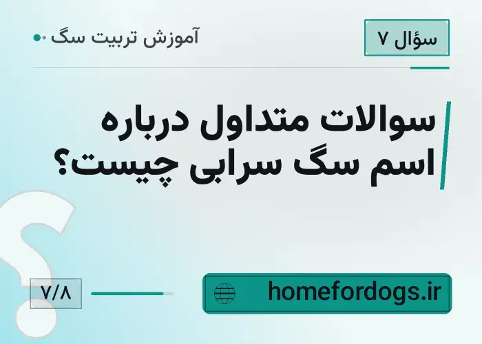 سوالات متداول درباره اسم سگ سرابی چیست؟