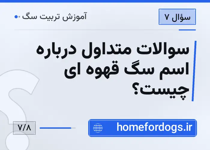 سوالات متداول درباره اسم سگ قهوه ای چیست؟