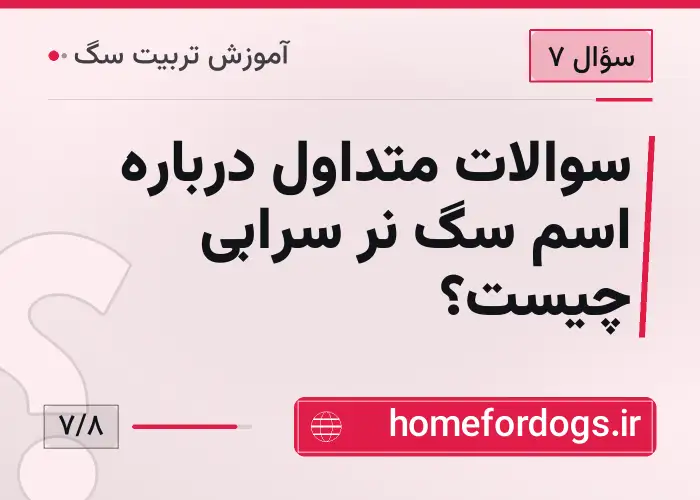 سوالات متداول درباره اسم سگ نر سرابی چیست؟