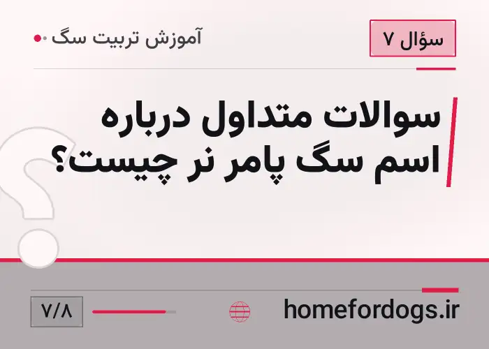 سوالات متداول درباره اسم سگ پامر نر چیست؟