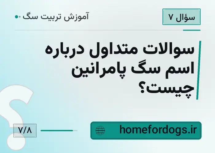 سوالات متداول درباره اسم سگ پامرانین چیست؟