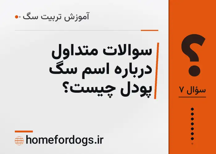 سوالات متداول درباره اسم سگ پودل چیست؟