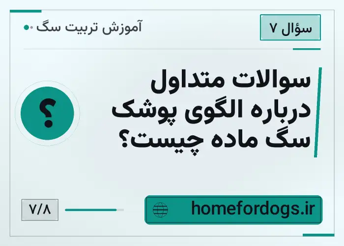 سوالات متداول درباره الگوی پوشک سگ ماده چیست؟