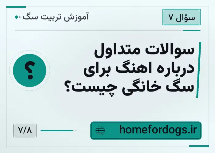 سوالات متداول درباره اهنگ برای سگ خانگی چیست؟
