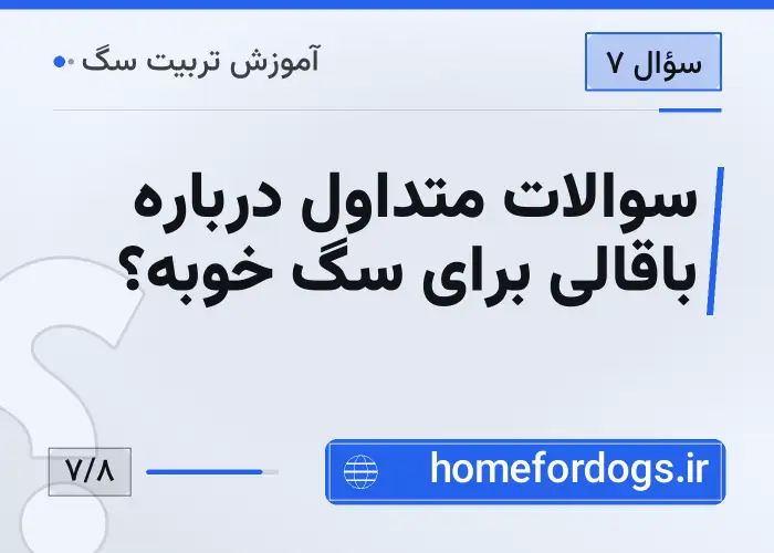 سوالات متداول درباره باقالی برای سگ خوبه؟