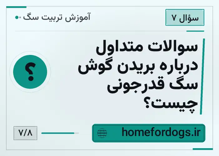 سوالات متداول درباره بریدن گوش سگ قدرجونی چیست؟