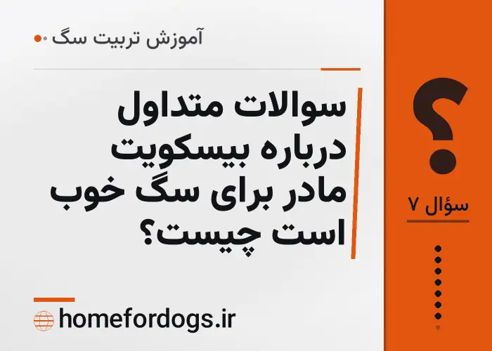 سوالات متداول درباره بیسکویت مادر برای سگ خوب است چیست؟