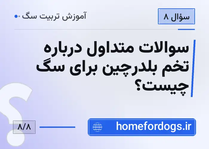 سوالات متداول درباره تخم بلدرچین برای سگ چیست؟