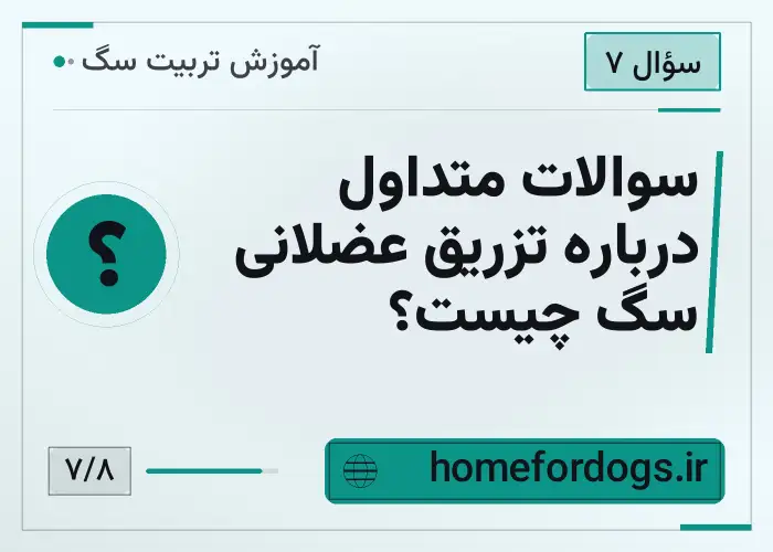 سوالات متداول درباره تزریق عضلانی سگ چیست؟