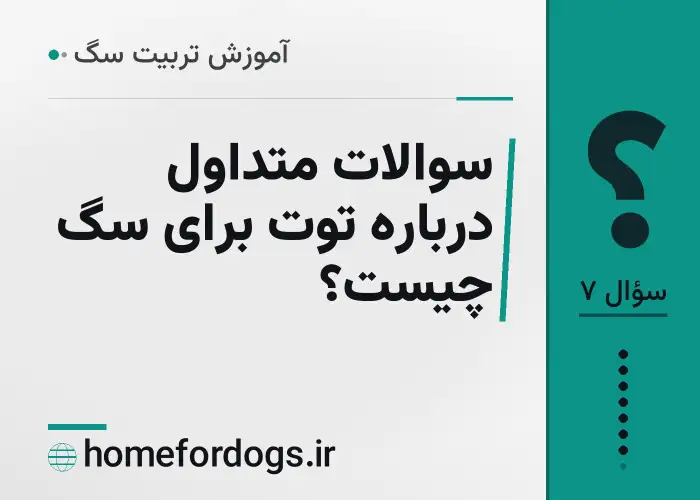 سوالات متداول درباره توت برای سگ چیست؟