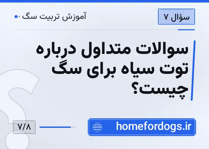 سوالات متداول درباره توت سیاه برای سگ چیست؟