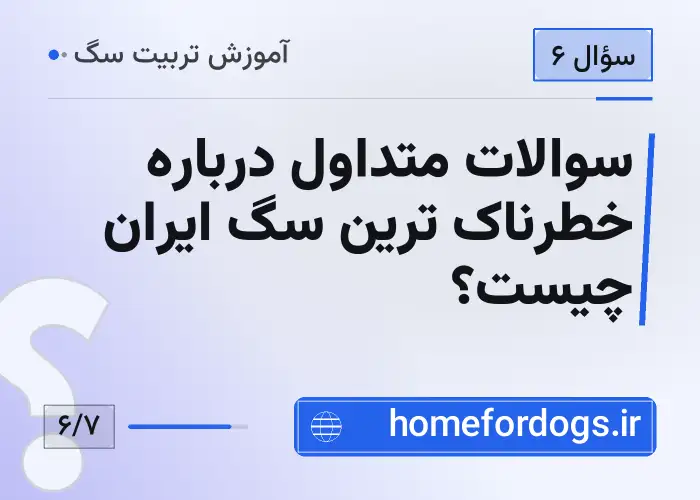 سوالات متداول درباره خطرناک ترین سگ ایران چیست؟