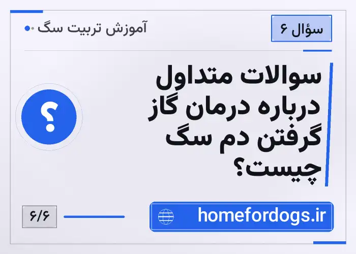 سوالات متداول درباره درمان گاز گرفتن دم سگ چیست؟