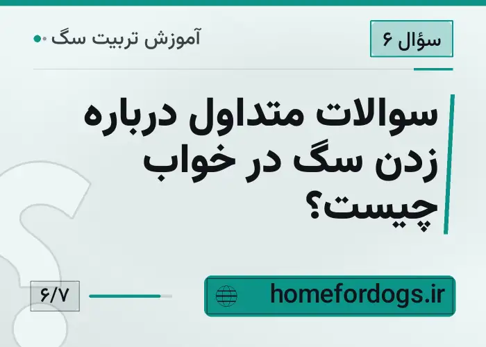 سوالات متداول درباره زدن سگ در خواب چیست؟