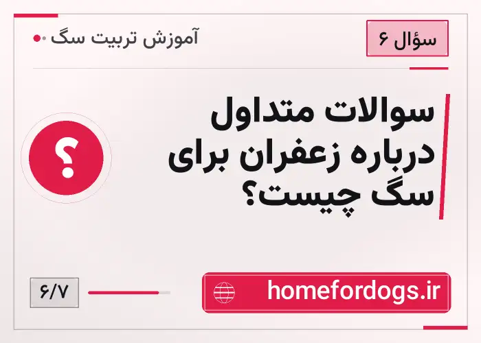 سوالات متداول درباره زعفران برای سگ چیست؟