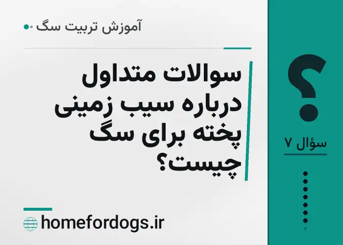 سوالات متداول درباره سیب زمینی پخته برای سگ چیست؟