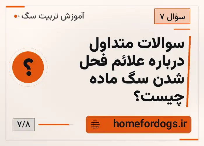 سوالات متداول درباره علائم فحل شدن سگ ماده چیست؟