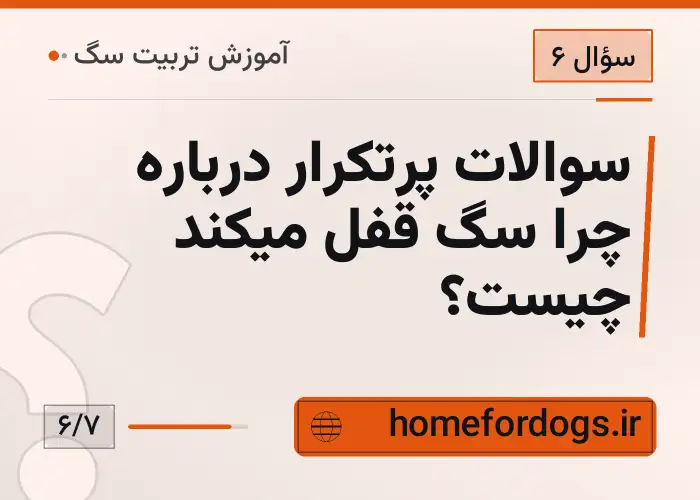 سوالات پرتکرار درباره چرا سگ قفل میکند چیست؟
