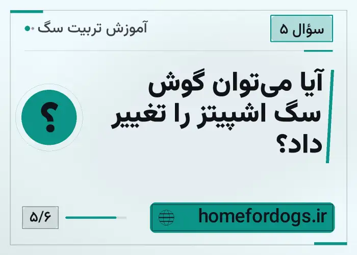 آیا می‌توان گوش سگ اشپیتز را تغییر داد؟
