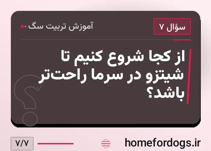 از کجا شروع کنیم تا شیتزو در سرما راحت‌تر باشد؟