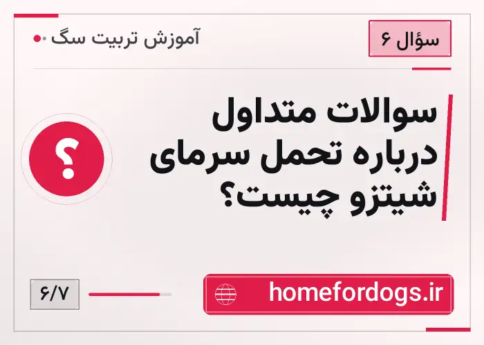 سوالات متداول درباره تحمل سرمای شیتزو چیست؟