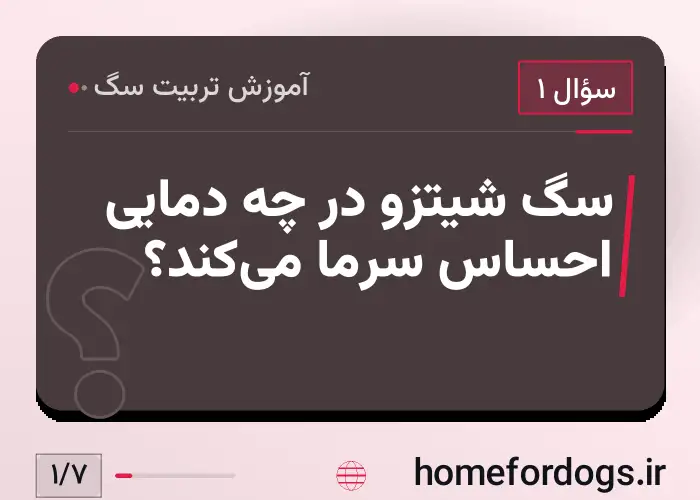 سگ شیتزو در چه دمایی احساس سرما می‌کند؟