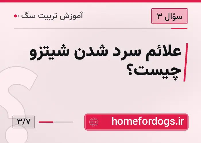 علائم سرد شدن شیتزو چیست؟