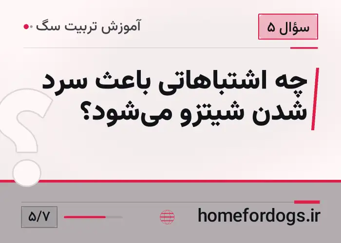چه اشتباهاتی باعث سرد شدن شیتزو می‌شود؟