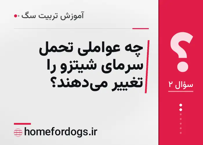 چه عواملی تحمل سرمای شیتزو را تغییر می‌دهند؟