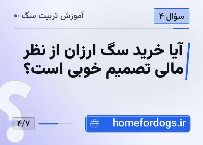 آیا خرید سگ ارزان از نظر مالی تصمیم خوبی است؟